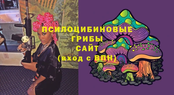 эйфоретик Новокубанск