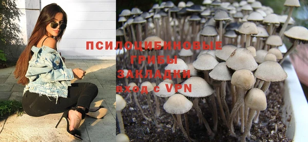 MDMA Новодвинск