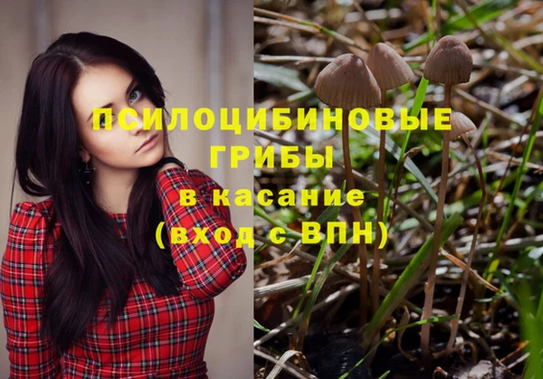 эйфоретик Новокубанск