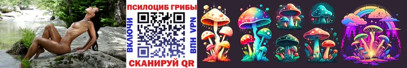 Галлюциногенные грибы Psilocybine cubensis  кракен маркетплейс  Краснозаводск 